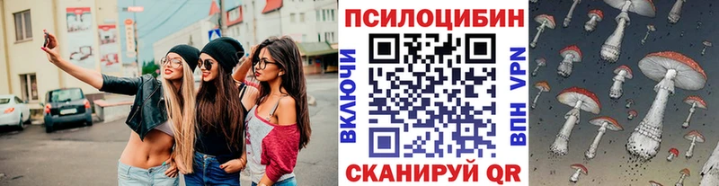 Псилоцибиновые грибы GOLDEN TEACHER  Купить где  Советская Гавань 